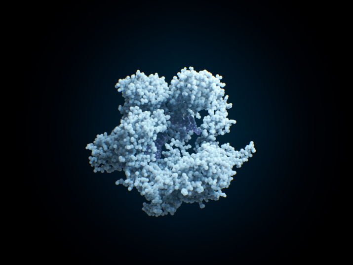 Cas9 for Website o R