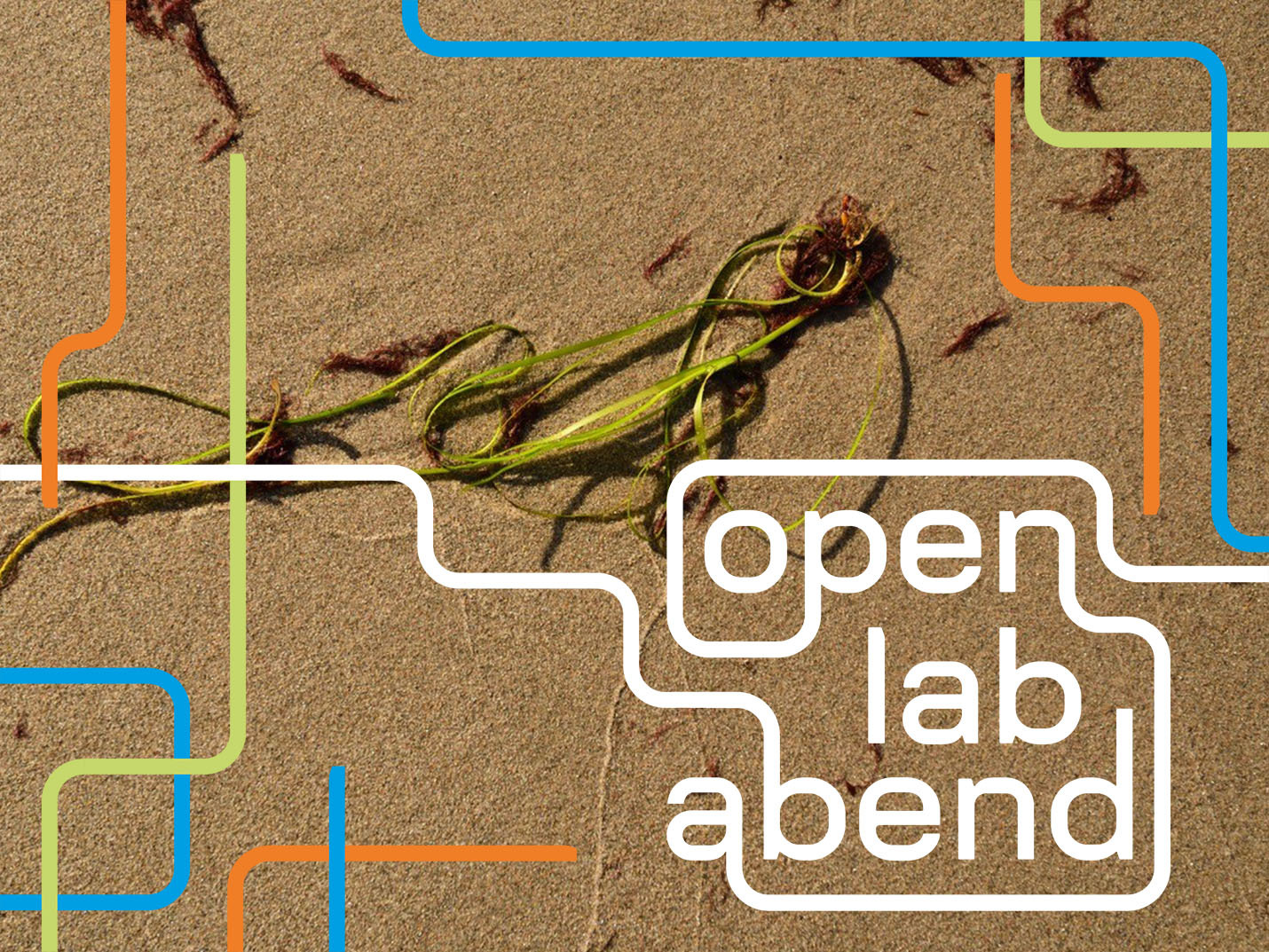 Seegras im Sand. Darüber das Open Lab Abend-Logo.