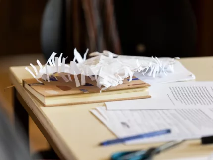 Hellbrauner Schreibtisch. Auf dem Schreibtisch liegen beschriebene Blätter und Stifte.