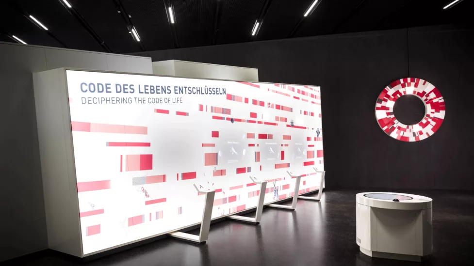 A light-coloured wall shines in a dark room. The circular genetic lottery can be seen in the background