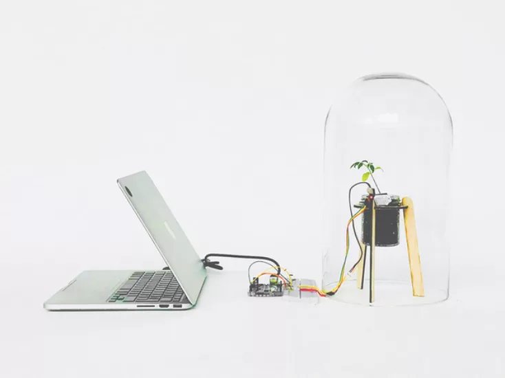 Eine Pflanze unter einer Glasglocke ist über ein Kabel an ein Laptop angeschlossen