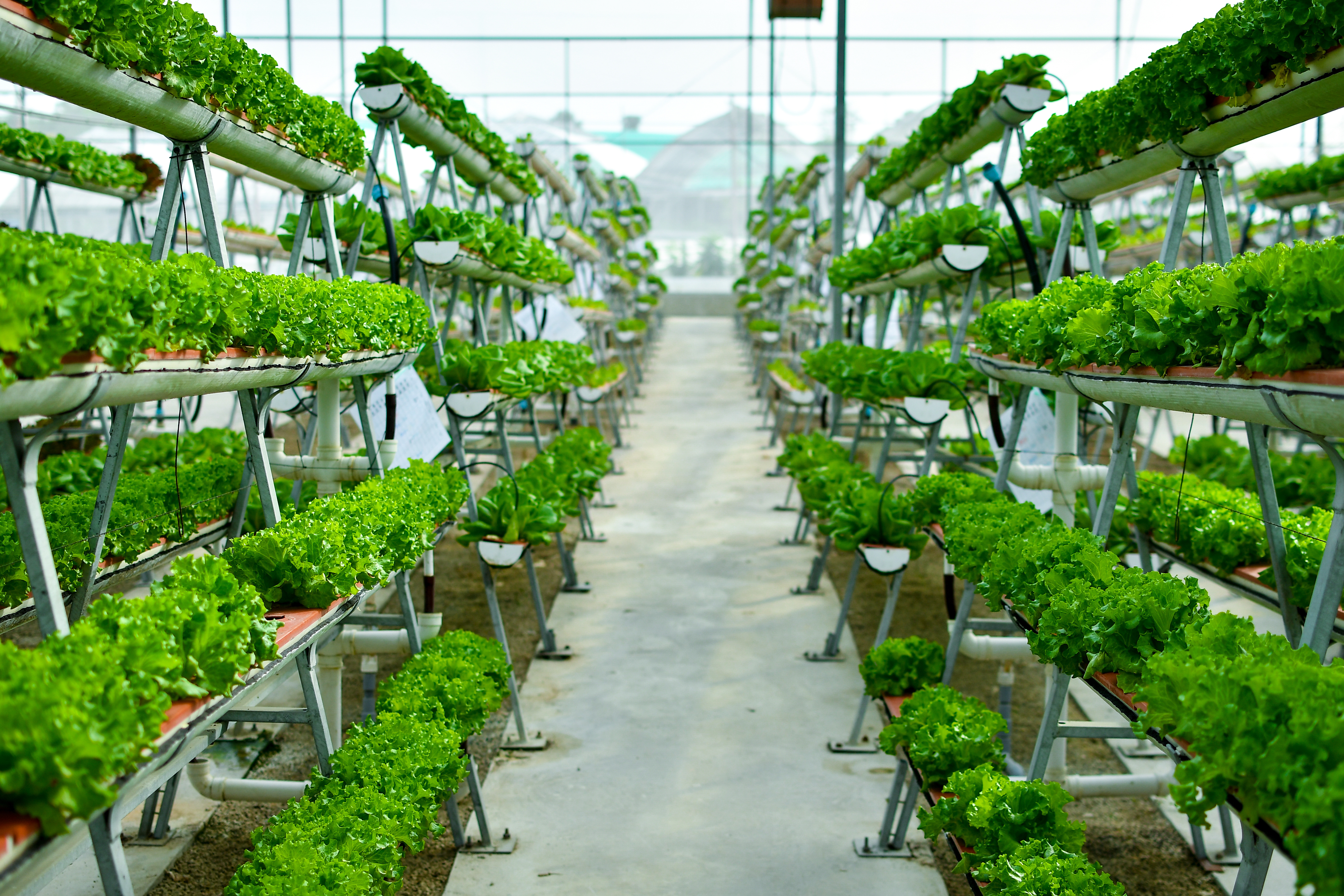 Modern farming methods. Вертикальное земледелие. Vertical Farming. Vertical Farming in supermarkets. Hubei zhongxinkaiwei Modern Farming.